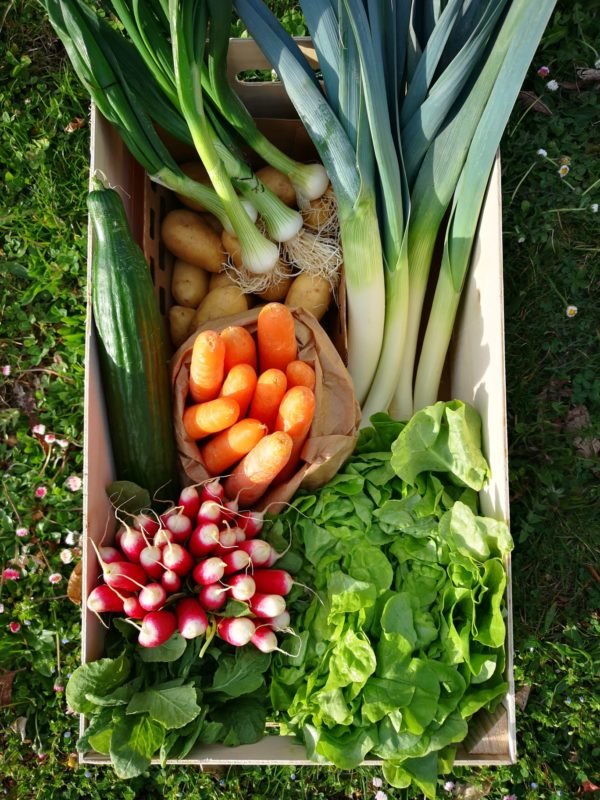Grand panier de légumes de saison | env 4 à 5kg