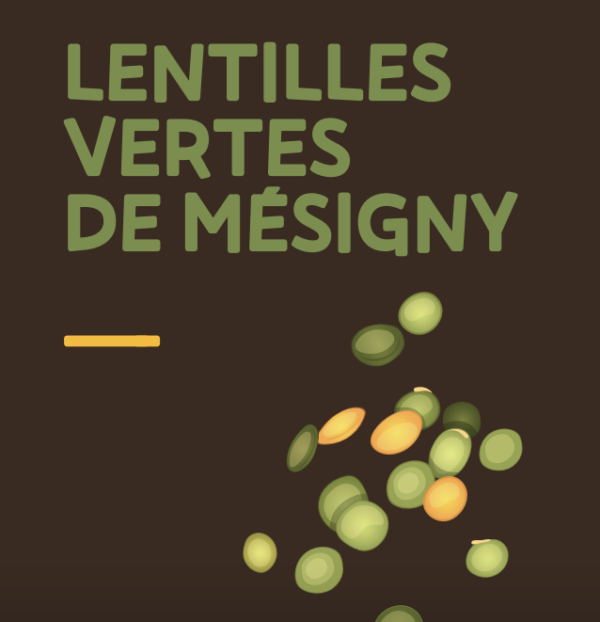 Lentilles vertes BIO - 1kg - Le Fournil des paysans (74)