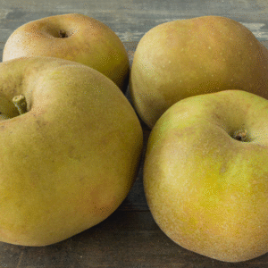 1 kg (env) de pommes Canada grise | ‘La Pomme Doret’ à Cercier