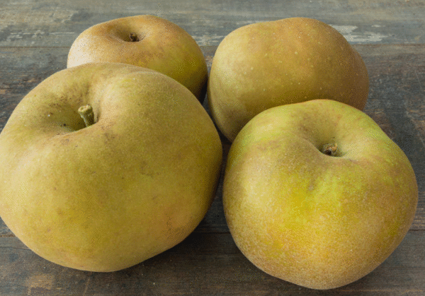 1 kg (env) de pommes Canada grise | ‘La Pomme Doret’ à Cercier