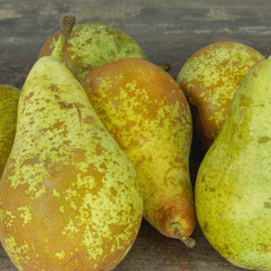 1 kg (env) de poires Conférence | ‘La Pomme Doret’ à Cercier