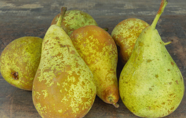 1 kg (env) de poires Conférence | ‘La Pomme Doret’ à Cercier