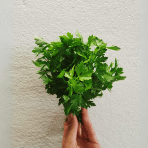 Persil Plat (la botte) | Bouchet Frère et Soeur | Féchy